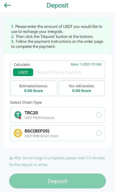 Link Pay USDT Deposit